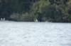 tn_001dsc_0251_small.jpg