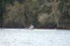 tn_001dsc_0254_small.jpg