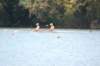 tn_001dsc_0321_small.jpg
