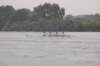 tn_001dsc_0047_small.jpg