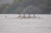 tn_001dsc_0048_small.jpg