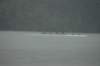 tn_001dsc_8216_small.jpg