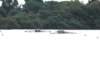 tn_001dsc_9146_small.jpg