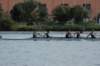 tn_001dsc_9203_small.jpg