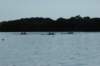 tn_001dsc_9246_small.jpg