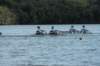 tn_001dsc_9268_small.jpg