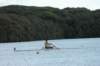 tn_001dsc_9278_small.jpg