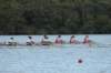 tn_001dsc_9298_small.jpg