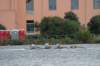 tn_001dsc_9307_small.jpg