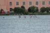 tn_001dsc_9312_small.jpg