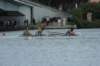 tn_001dsc_9324_small.jpg