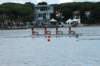 tn_001dsc_9332_small.jpg