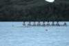 tn_001dsc_9340_small.jpg