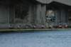 tn_001dsc_9364_small.jpg