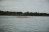 tn_001dsc_0160_small.jpg