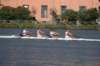 tn_001dsc_8650_small.jpg