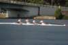 tn_001dsc_8651_small.jpg