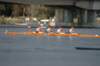 tn_001dsc_8653_small.jpg