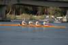 tn_001dsc_8654_small.jpg