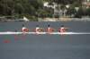 tn_001dsc_8666_small.jpg