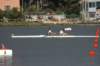 tn_001dsc_8758_small.jpg