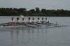 tn_001dsc_8944_small.jpg
