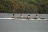 tn_001dsc_8956_small.jpg