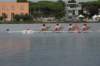tn_001dsc_8957_small.jpg