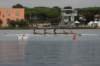 tn_001dsc_8961_small.jpg