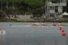 tn_001dsc_8965_small.jpg