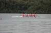 tn_001dsc_8967_small.jpg