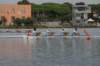 tn_001dsc_8974_small.jpg