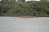 tn_001dsc_8998_small.jpg