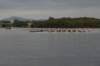 tn_001dsc_9007_small.jpg