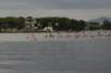 tn_001dsc_9016_small.jpg