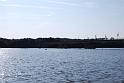tn_DSC_0014