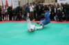 tn_img_4347_small.jpg