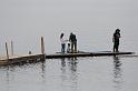 tn_IMG_4520